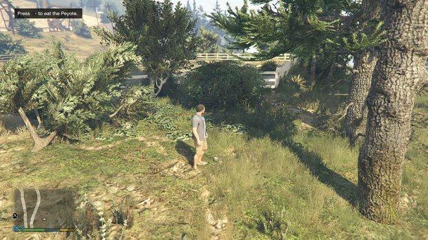 Gta 5 животные. Ферма гта 5. Карта лофофор в гта 5. Лофофоры гта 5 пс4. Gta 5 карта лофофоров.